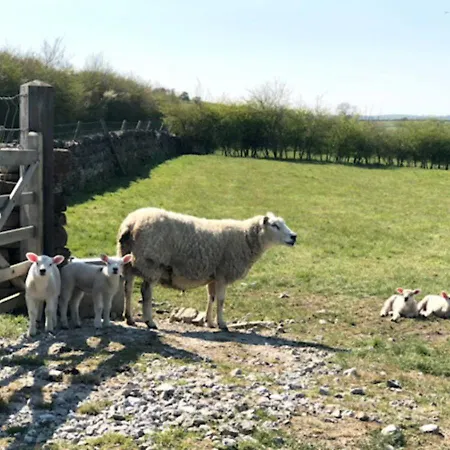 Perfectly Located 4 Storey Townhouse With 2 Parking Spaces In *